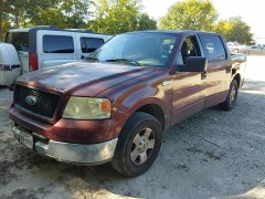 BUY FORD F-150 2004, Topp Gunn Auto Auction